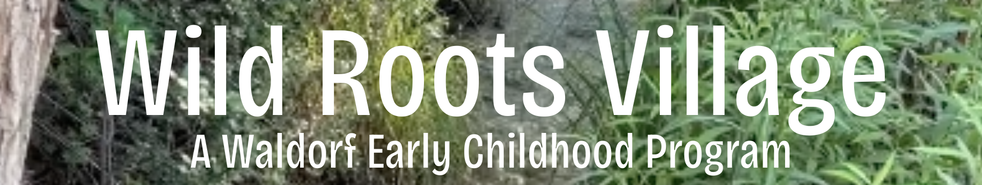 Wild Roots Village is a Waldorf based early childhood learning program in Taos, New Mexico.